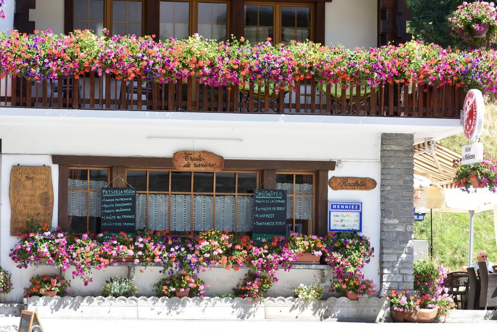 Hotel Les Melezes Hauderes Екстер'єр фото