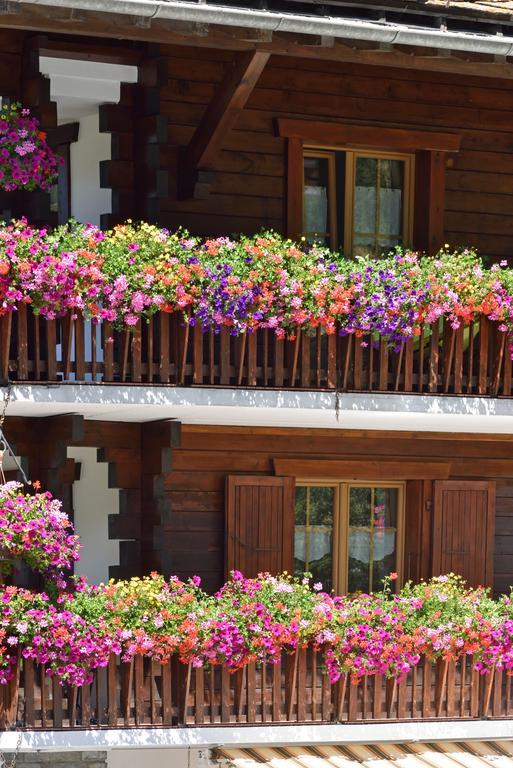 Hotel Les Melezes Hauderes Екстер'єр фото